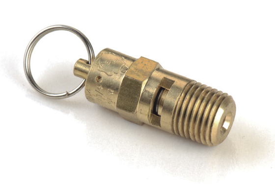 Ein guter Preis. 1/4 NPT-Suspendierung an Bord Luftsystem-Luftkompressor-Installationen des kupfernen P-/inSicherheitsventils Online